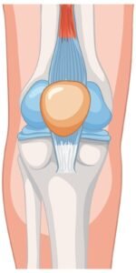 Best Meniscus Repair Surgery in Sector 56 Gurugram