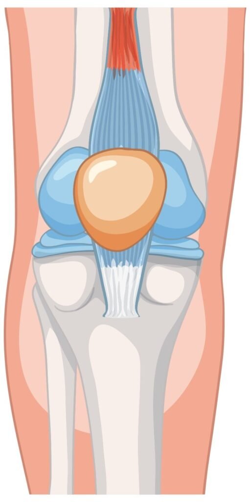 Best Meniscus Repair Surgery in Sector 56 Gurugram